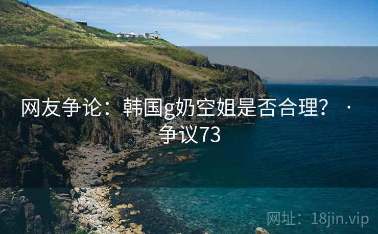网友争论：韩国g奶空姐是否合理？ · 争议73