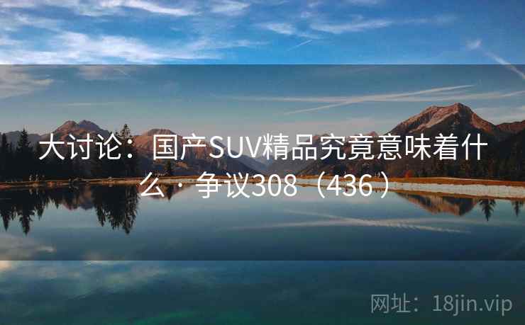 大讨论：国产SUV精品究竟意味着什么 · 争议308（436 ）