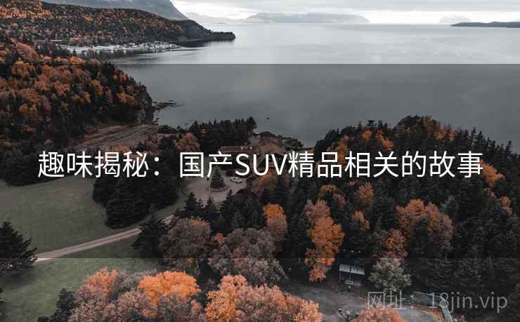 趣味揭秘：国产SUV精品相关的故事
